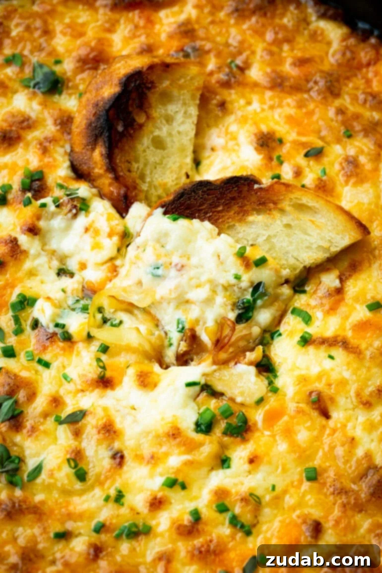 Golden Gooey Onion Cheese Dip 8 A photo of a toasted piece of bread, partially dipped into a hot onion cheese dip, showcasing its creamy texture.