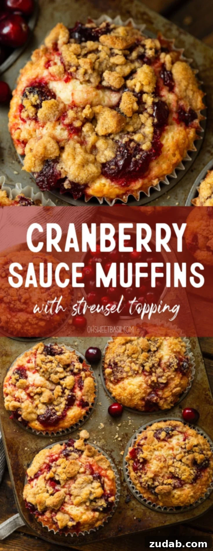Cranberry Sauce Revival Muffins with Streusel Topping 11 A top-down view of a baked cranberry sauce muffin, topped with golden streusel, with its muffin liner peeled off.