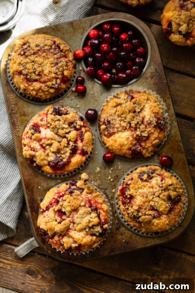 Cranberry Sauce Revival Muffins with Streusel Topping 3 A photo of a jumbo muffin tin with baked cranberry muffins with streusel topping in 5 of the cups, with the 6th cup showcasing fresh cranberries.
