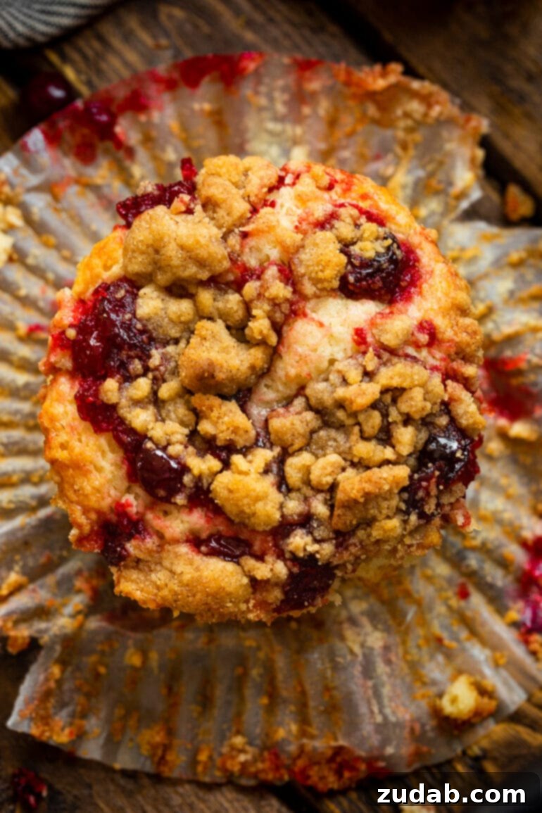 Cranberry Sauce Revival Muffins with Streusel Topping 5 A photo taken from above, showing a baked cranberry sauce muffin topped with golden streusel, with its muffin liner peeled off, revealing the tender muffin.