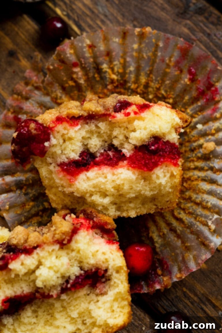 Cranberry Sauce Revival Muffins with Streusel Topping 6 A photo of a cranberry sauce muffin broken in half and laid on its side, clearly showing the beautiful layers of cranberry sauce inside the muffin.