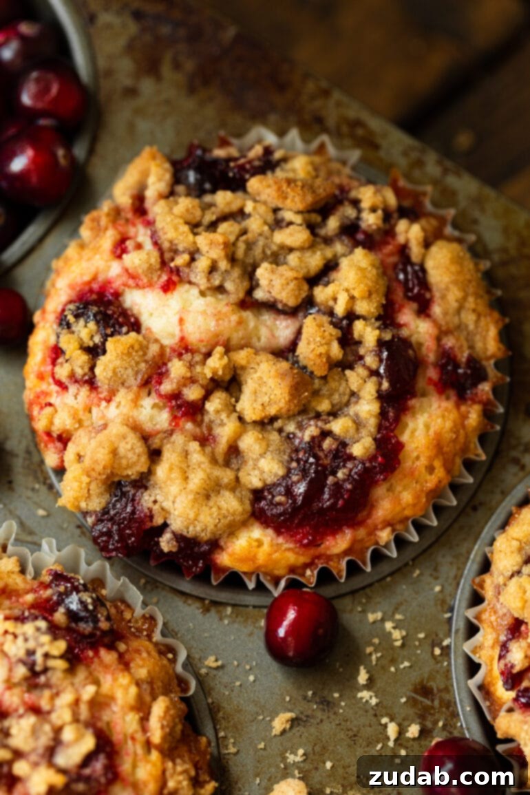 Cranberry Sauce Revival Muffins with Streusel Topping 7 A photo of a cranberry sauce muffin topped with golden streusel topping, still in its muffin tin, with whole fresh cranberries scattered around it.