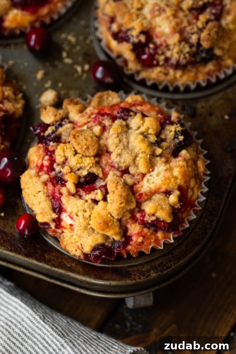 Cranberry Sauce Revival Muffins with Streusel Topping 8 A photo taken from above, showing a freshly baked cranberry sauce muffin in a muffin liner, still sitting in the muffin tin.