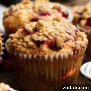 Cranberry Sauce Revival Muffins with Streusel Topping 10 Close-up of a cranberry sauce muffin