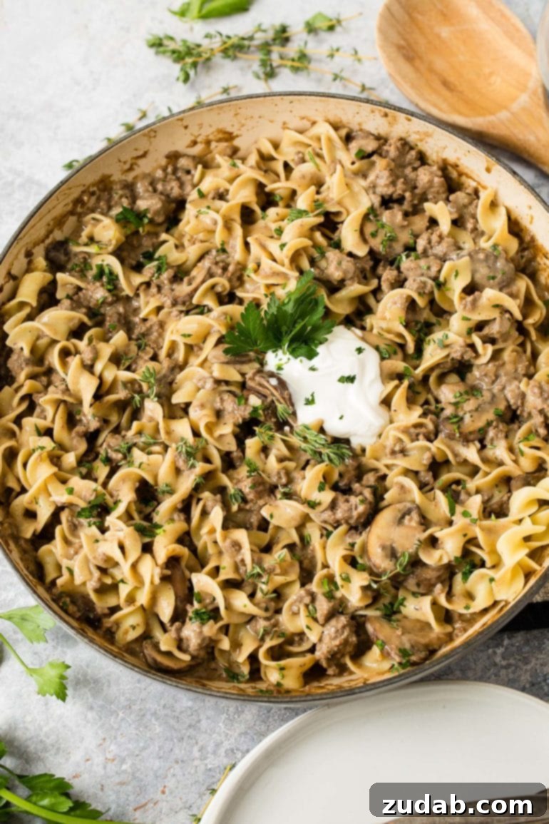 Meals for the Week September 25 October 1 8 A comforting serving of classic ground beef stroganoff presented in an elegant serving bowl, featuring tender noodles, savory ground beef, rich mushroom sauce, and a generous dollop of cooling sour cream on top. A perfect family dinner.