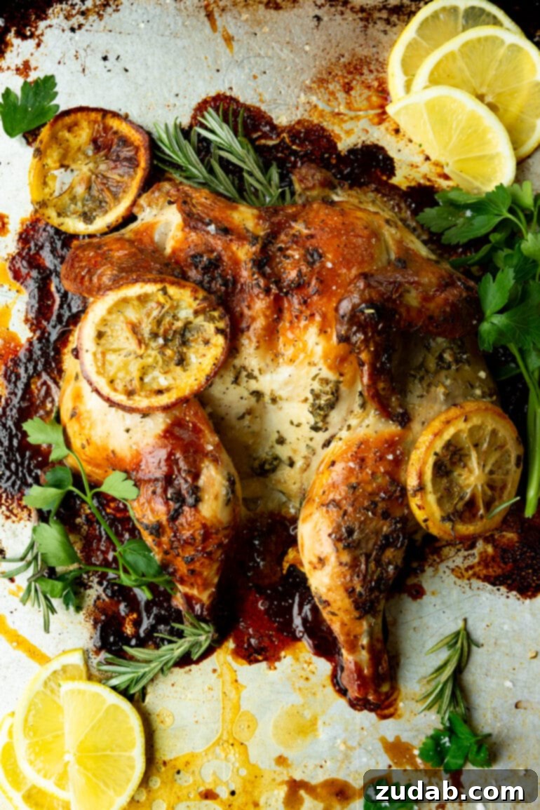 Weekly Meal Plan: October 2-8 8 A beautifully roasted spatchcock chicken, golden brown and glistening, covered in aromatic herbs and bright slices of lemon, promising juicy perfection.