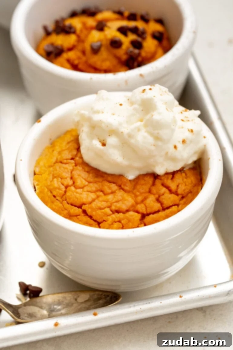 Wholesome Pumpkin Oatmeal Mug Cake 2 A beautifully baked pumpkin mug cake, perfectly risen and topped with a generous dollop of whipped cream, ready to be enjoyed.