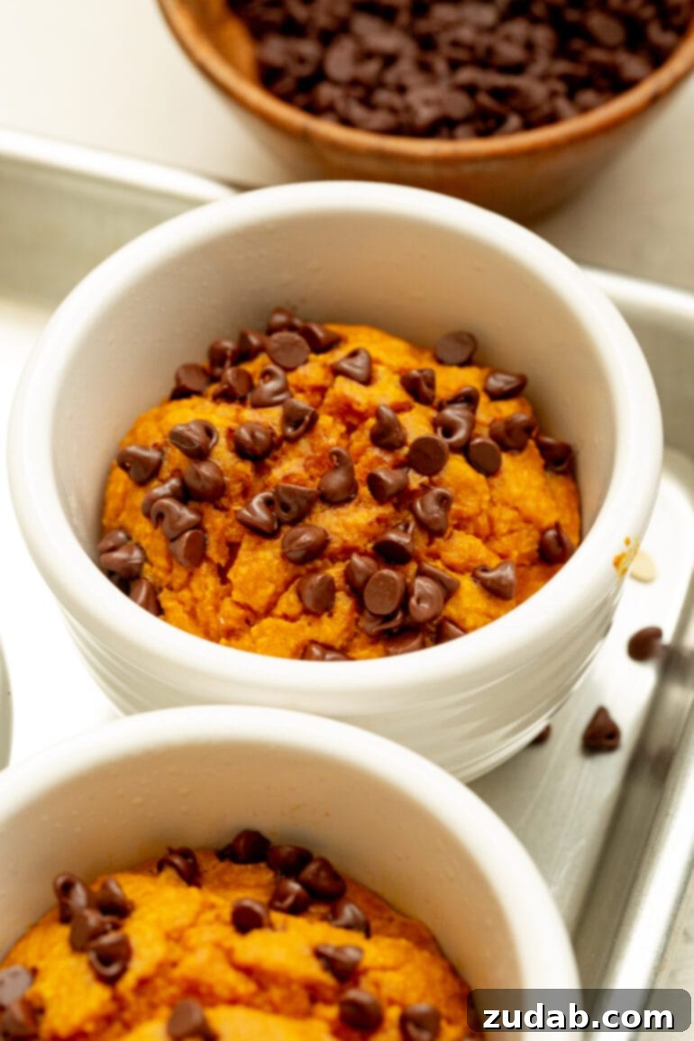 Wholesome Pumpkin Oatmeal Mug Cake 9 A baked pumpkin mug cake, exquisitely topped with mini chocolate chips, capturing the rich, comforting flavors of autumn in a healthy, hearty serving.