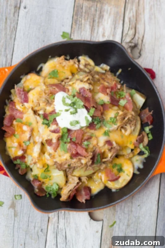 Tailgator Nachos loaded with BBQ Pork, roasted potatoes, Bacon and cheeeeeese!!! ohsweetbasil.com Tailgator Nachos loaded with BBQ Pork, roasted potatoes, Bacon and cheeeeeese!!! ohsweetbasil.com