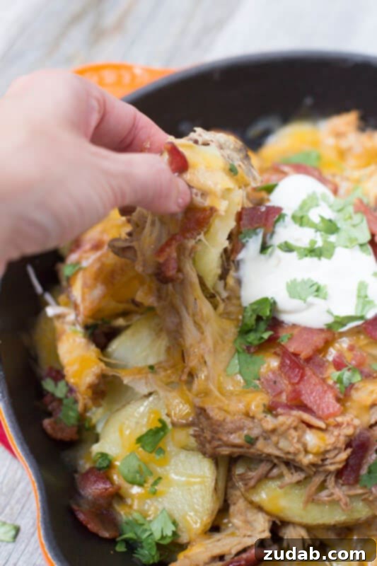 Tailgator Nachos loaded with BBQ Pork, roasted potatoes, Bacon and cheeeeeese!!! ohsweetbasil.com Tailgator Nachos loaded with BBQ Pork, roasted potatoes, Bacon and cheeeeeese!!! ohsweetbasil.com
