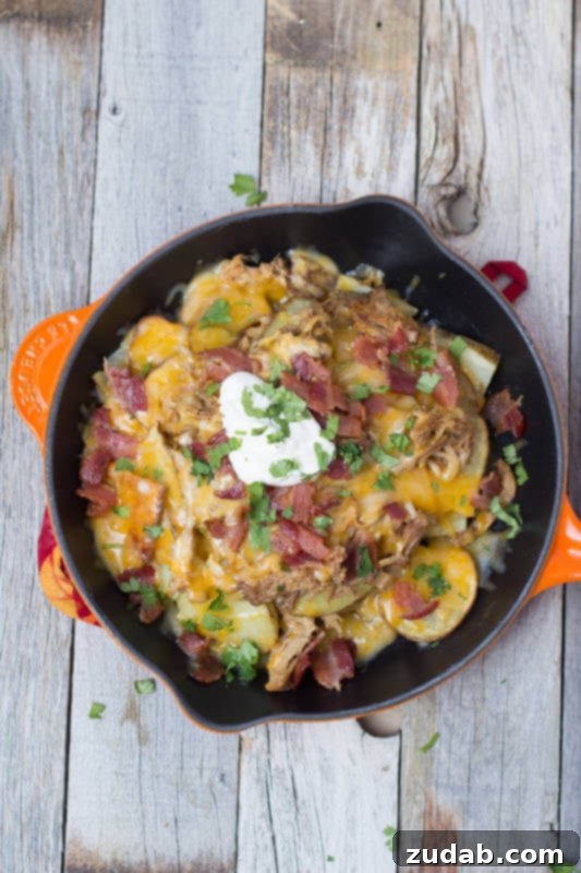 Tailgator Nachos loaded with BBQ Pork, roasted potatoes, Bacon and cheeeeeese!!! ohsweetbasil.com Tailgator Nachos loaded with BBQ Pork, roasted potatoes, Bacon and cheeeeeese!!! ohsweetbasil.com