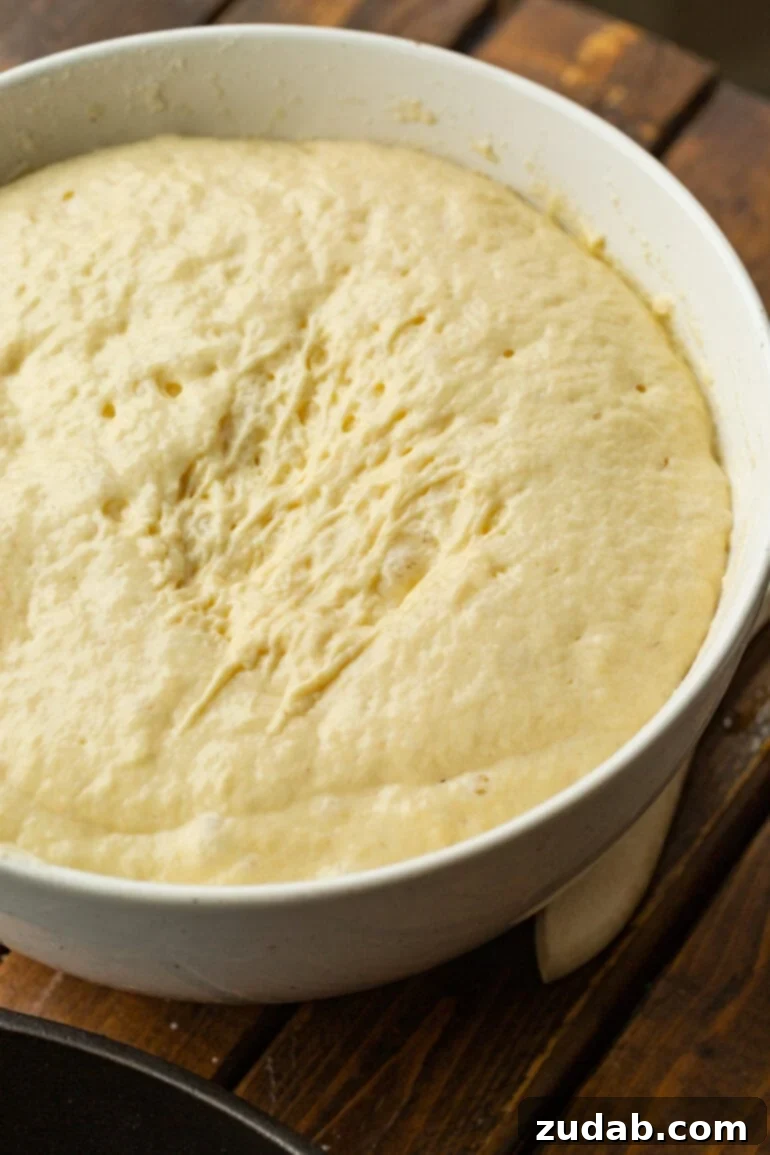 Cloud-Like Fluffy Ukrainian Oladi Pancakes 6 a photo of ukrainian pancake batter that has risen in a large white bowl