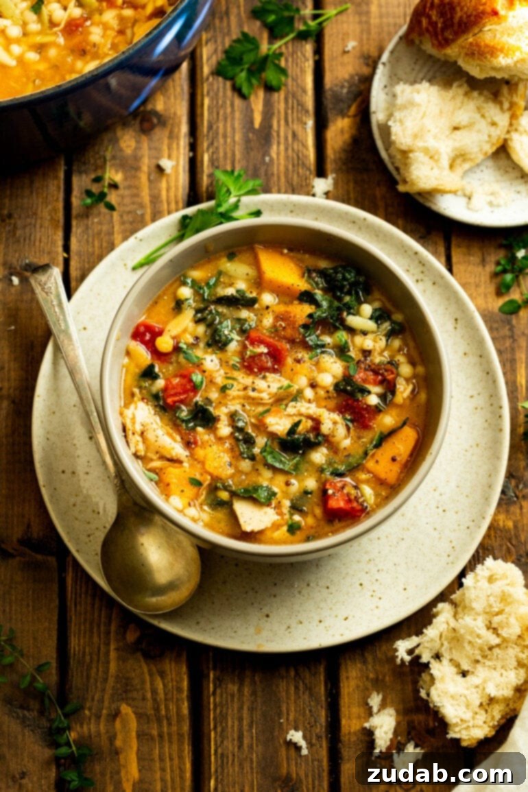 A close-up shot of a bowl of fall chicken stew, capturing the steam rising from its rich, flavorful surface, promising a comforting and wholesome dining experience.