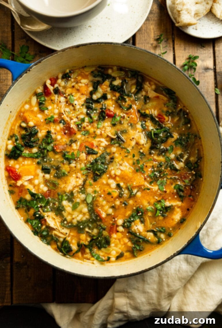 An overhead shot of a steaming Dutch oven filled with a colorful chicken stew, showcasing the vibrant combination of kale, butternut squash, diced tomatoes, and fluffy quinoa.