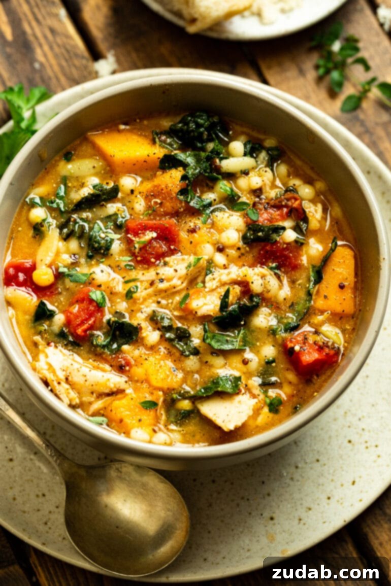 A comforting bowl of fall chicken stew, richly colored and inviting, promising a warm and nourishing meal on a chilly day.
