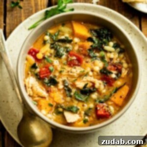 An appetizing image of the Fall Chicken Stew with Quinoa and Butternut Squash recipe