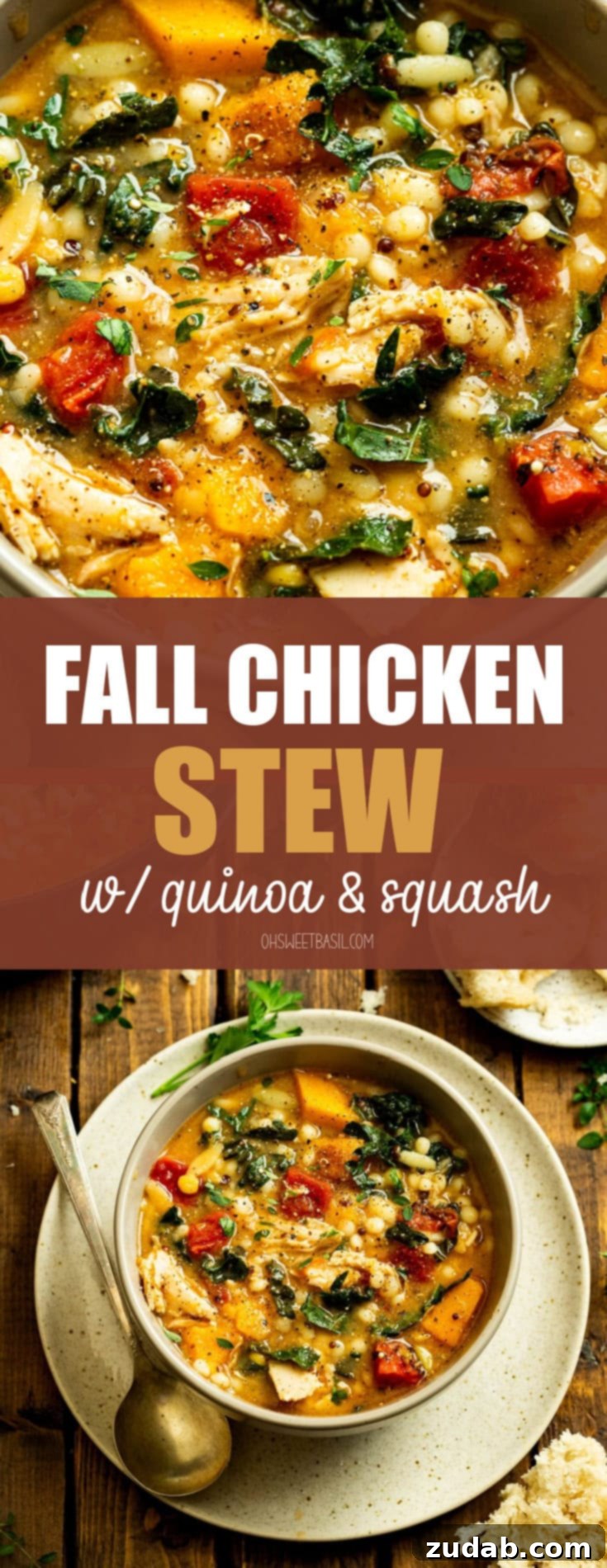 A beautifully presented bowl of fall chicken stew, showcasing the vibrant colors and hearty ingredients like quinoa, butternut squash, chicken, and kale, promising a satisfying and warm meal.