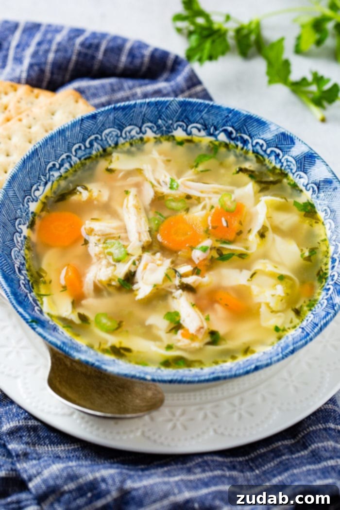 Weekly Menu Plan - Nov. 13 to 19 8 A rustic blue bowl brimming with homemade chicken noodle soup, featuring generous chunks of chicken, colorful vegetables, and long, tender noodles, set on a white plate with a spoon.
