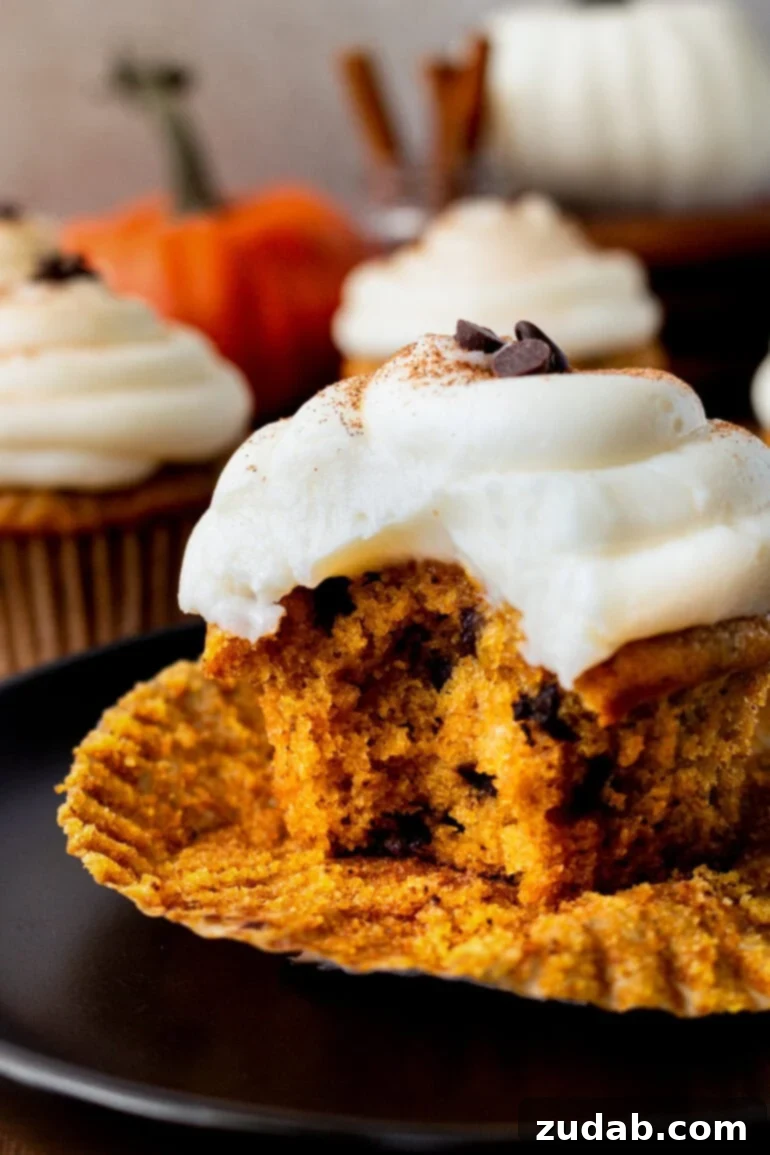 Velvet Pumpkin Chocolate Chip Bliss 2 a photo of a chocolate chip pumpkin cupcake with a bite taken out of it and topped with cream cheese frosting