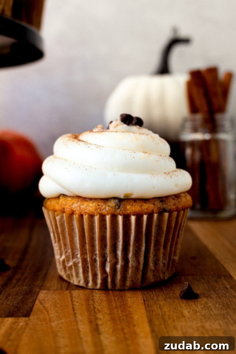 Velvet Pumpkin Chocolate Chip Bliss 11 a photo of a single pumpkin chocolate chip cupcake in a muffin liner topped with cream cheese frosting and sprinkled with cinnamon and chocolate chips