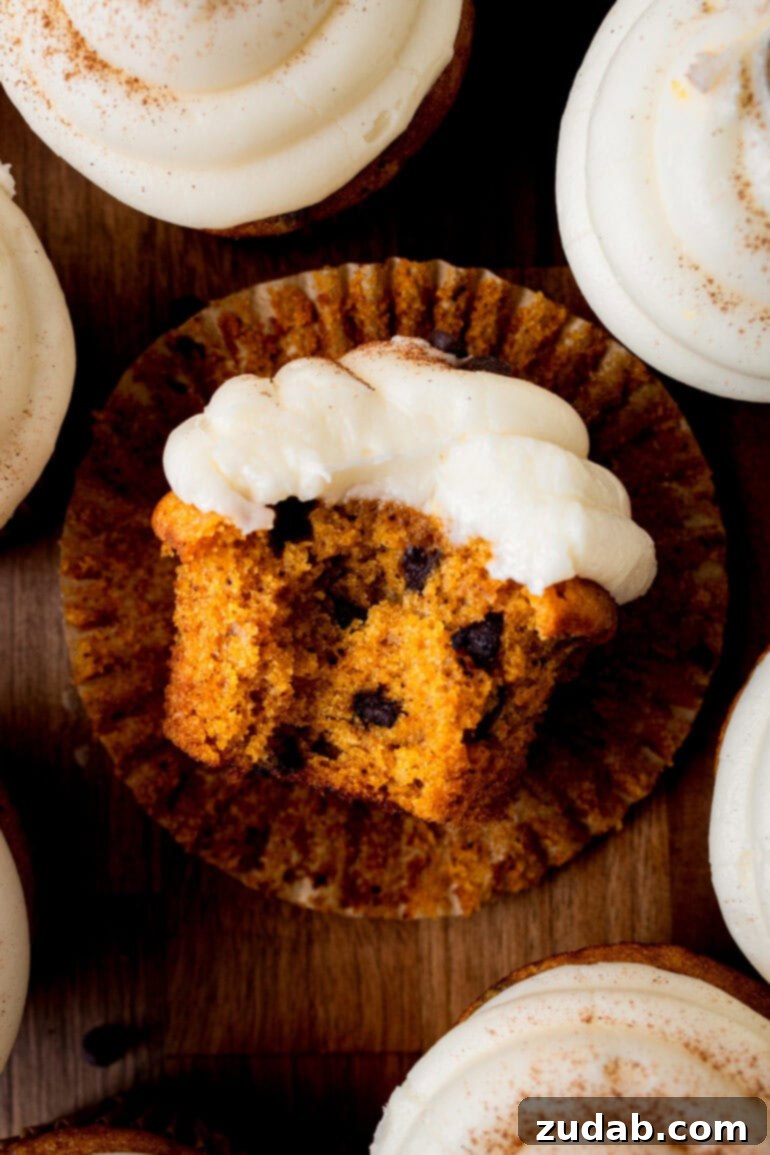 Velvet Pumpkin Chocolate Chip Bliss 13 a photo of a pumpkin chocolate chip cupcake topped with cream cheese frosting with a bite taken out of it and it's laying on its side on a flattened cupcake liner