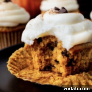 Velvet Pumpkin Chocolate Chip Bliss 14 img 89854 13