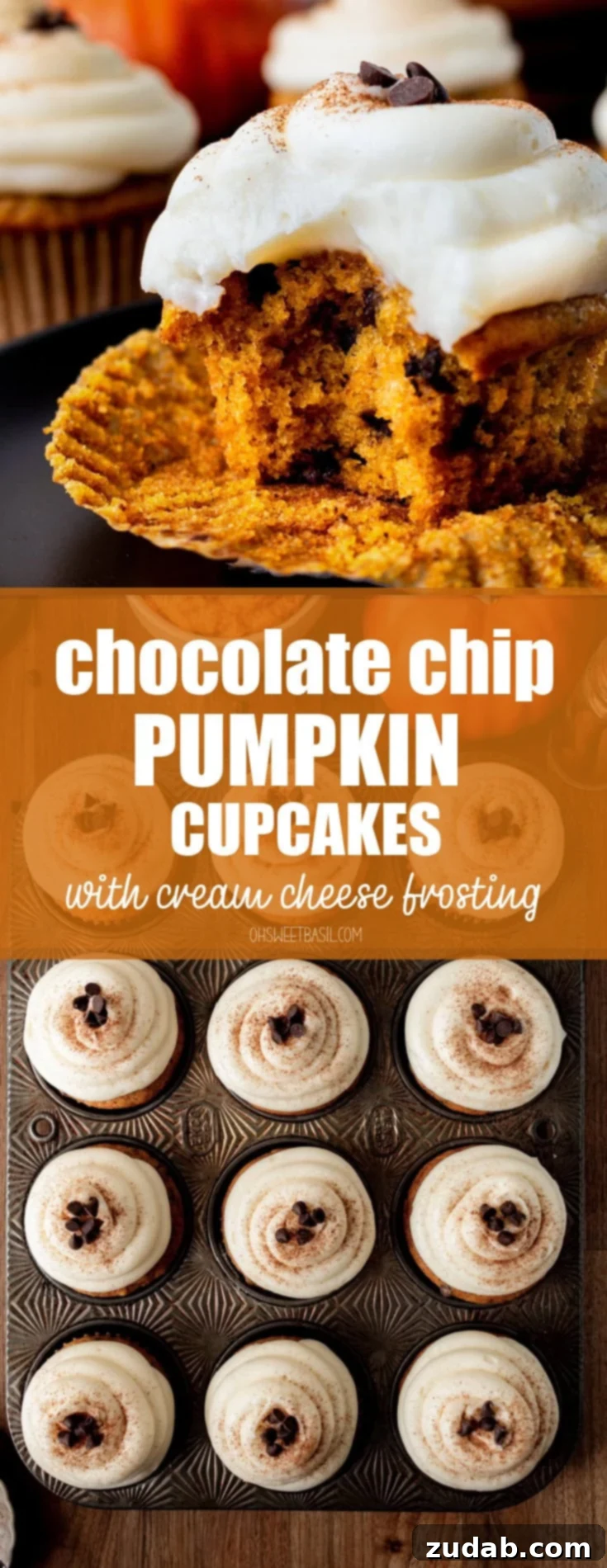 Velvet Pumpkin Chocolate Chip Bliss 15 a photo of a chocolate chip pumpkin cupcake with a bite taken out of it and topped with cream cheese frosting