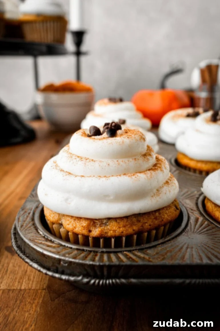 Velvet Pumpkin Chocolate Chip Bliss 3 a photo of a muffin tin full of pumpkin chocolate chip cupcakes topped with cream cheese frosting with chocolate chips on top