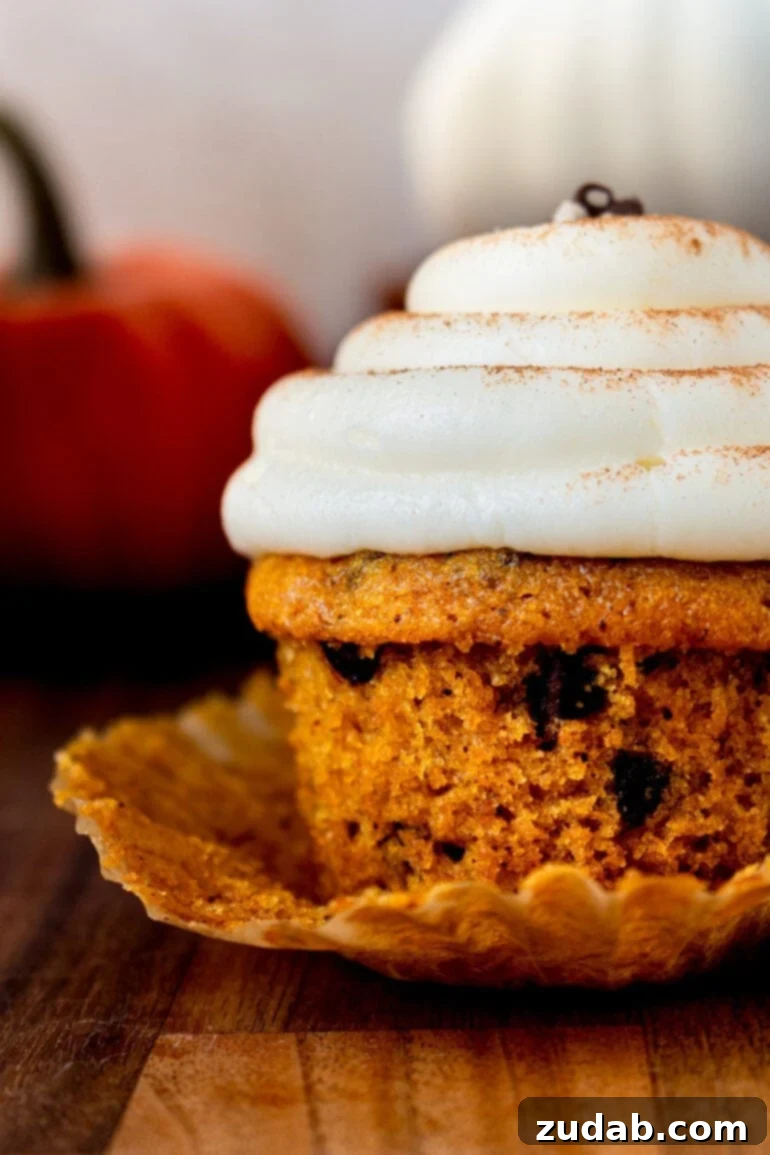 Velvet Pumpkin Chocolate Chip Bliss 4 a photo taken from the side of a moist pumpkin chocolate chip cupcake topped with cream cheese frosting sitting on an open cupcake wrapper