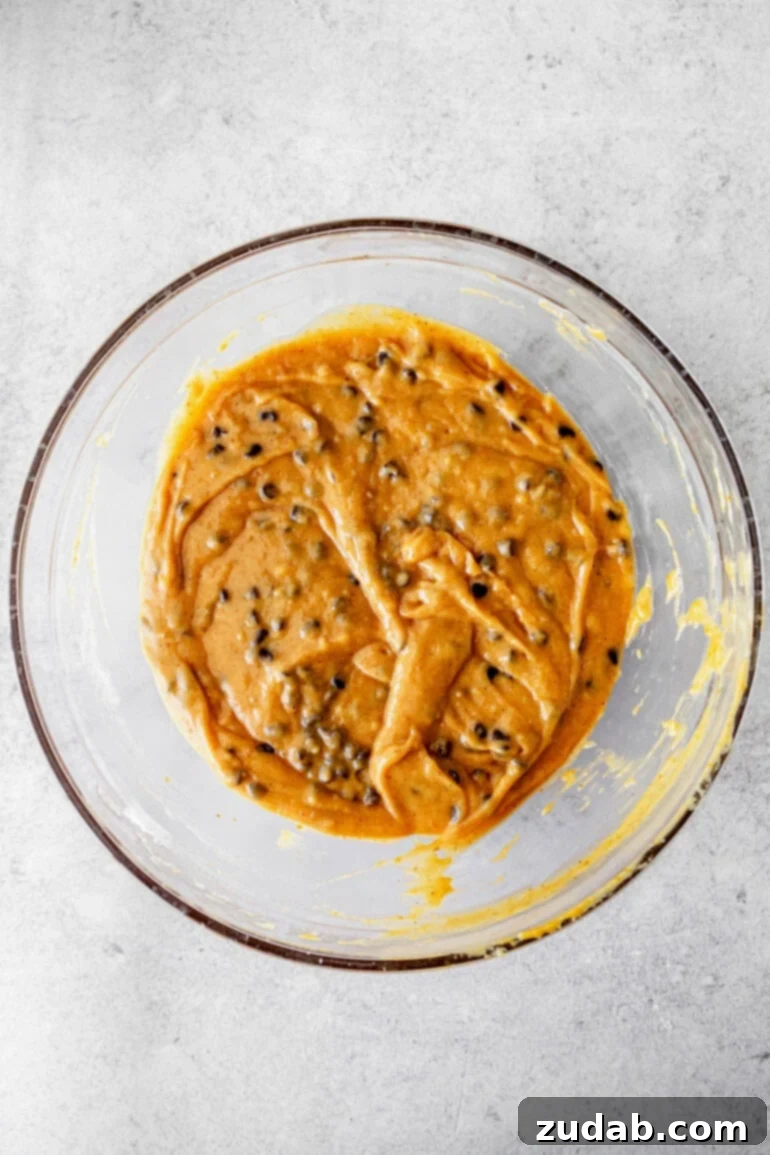 Velvet Pumpkin Chocolate Chip Bliss 6 img 89854 5
