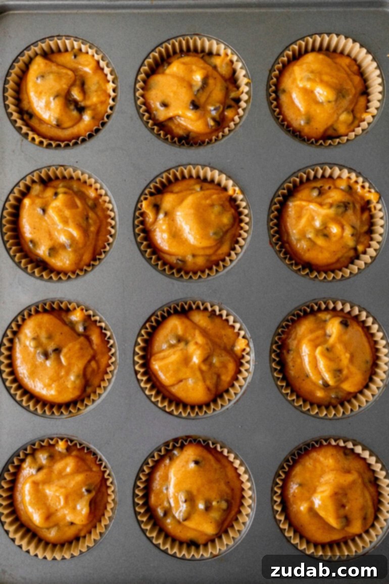 Velvet Pumpkin Chocolate Chip Bliss 7 img 89854 6
