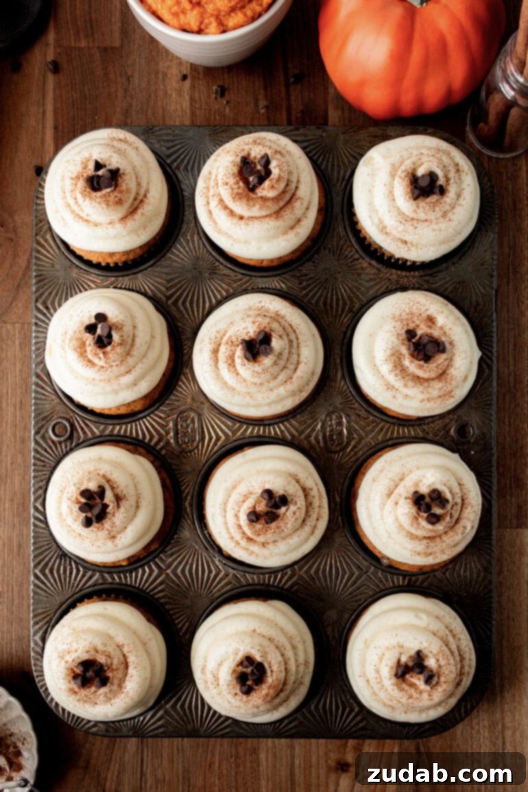 Velvet Pumpkin Chocolate Chip Bliss 10 a photo taken over the top of a muffin pan full of baked pumpkin cupcakes topped with white cream cheese frosting, a dusting of cinnamon and a few mini chocolate chips.