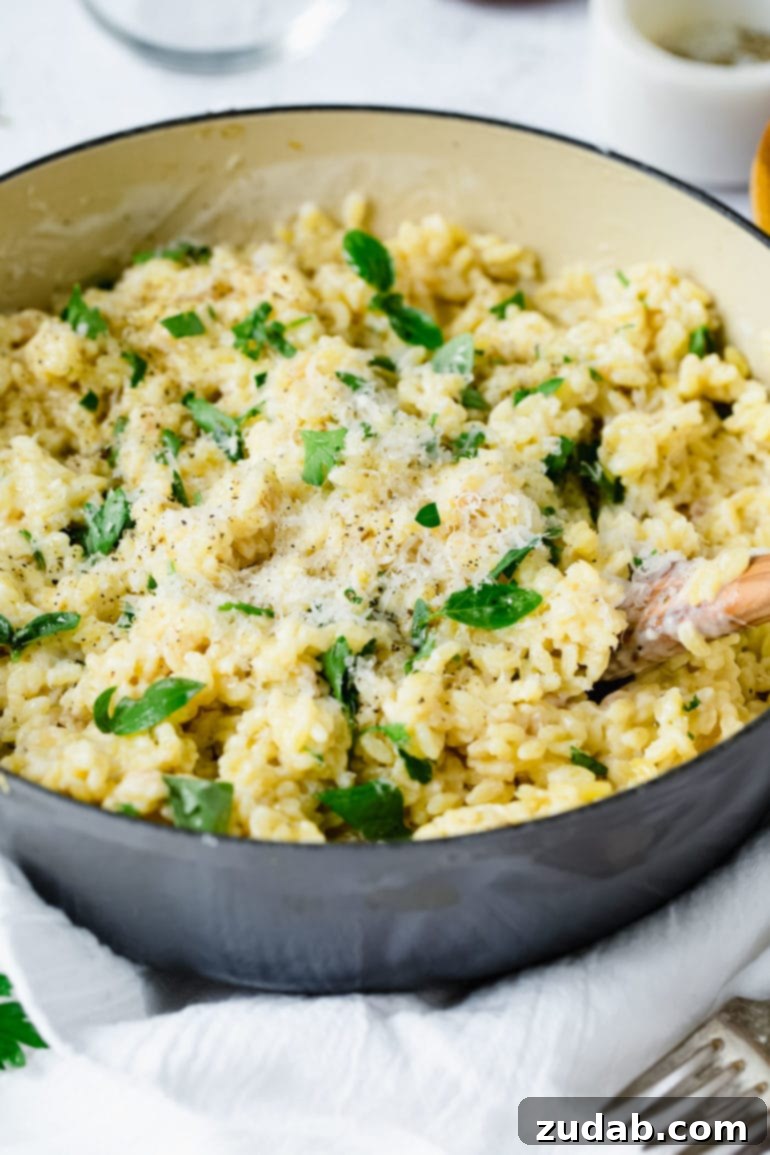Weekly Meal Plan: November 27 - December 3 6 A delectable bowl of creamy garlic parmesan orzo, garnished with fresh thyme and grated parmesan cheese, with a wooden spoon resting inside, showcasing its rich texture.