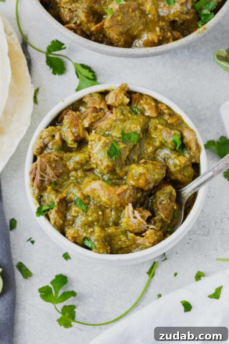 Weekly Meal Plan: November 27 - December 3 7 A bowl filled with large, tender chunks of flavorful pork chile verde, featuring a spoon immersed in the rich, green sauce.
