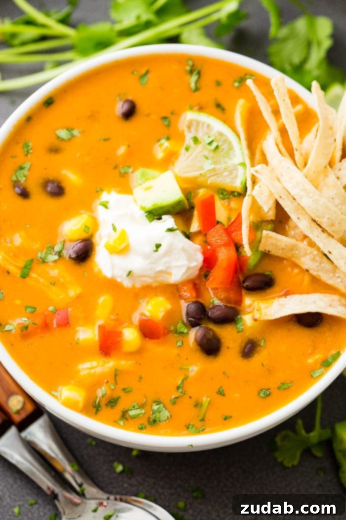 Weekly Menu Plan: January 22-28 8 An inviting aerial view of a white bowl filled with vibrant chicken tortilla soup, generously topped with creamy sour cream, a fresh lime wedge, and crispy tortilla strips, making for a perfect comforting meal.