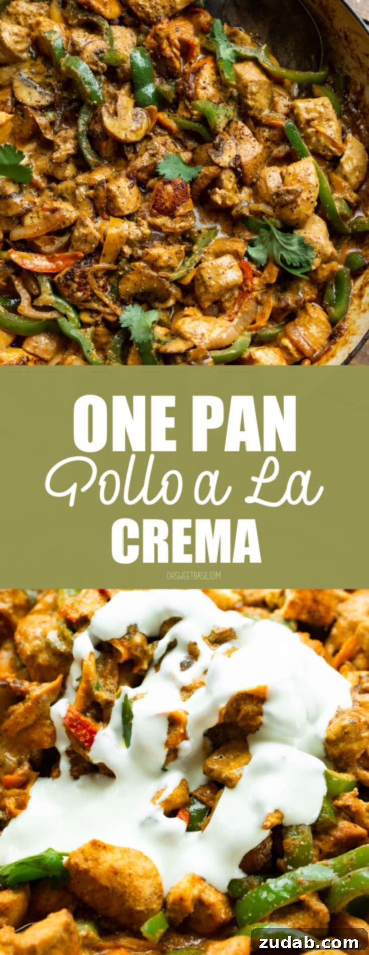 Easy One-Pan Creamy Chicken 11 A high-angle photo of a skillet overflowing with golden cooked chicken chunks, sautéed bell peppers, onions, and mushrooms, all coated in a rich, creamy sauce and garnished with a sprinkle of fresh cilantro.