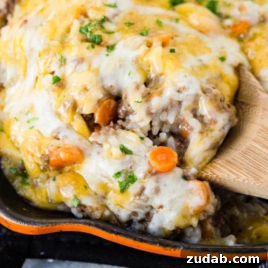 This Week's Meal Plan: February 19-25 6 A close-up of a creamy ground beef and rice casserole, generously topped with melted, gooey cheese, freshly cooked in an Instant Pot.