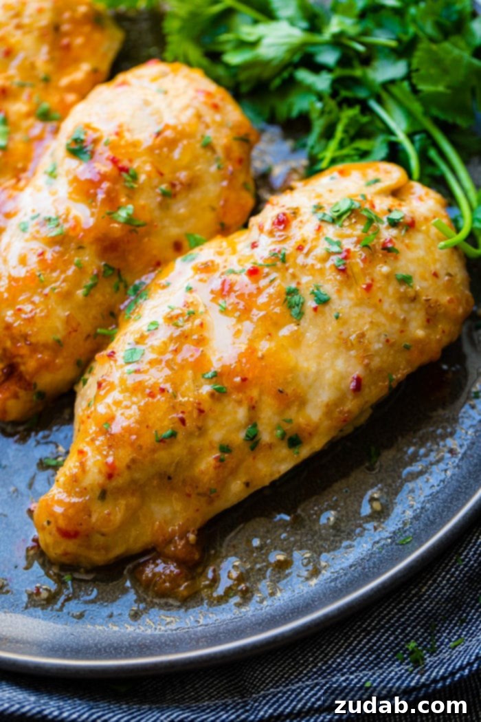 This Week's Meal Plan: February 19-25 7 Chicken breasts glazed with a vibrant apricot Italian dressing, served on a dark plate, showcasing the rich, caramelized sauce.