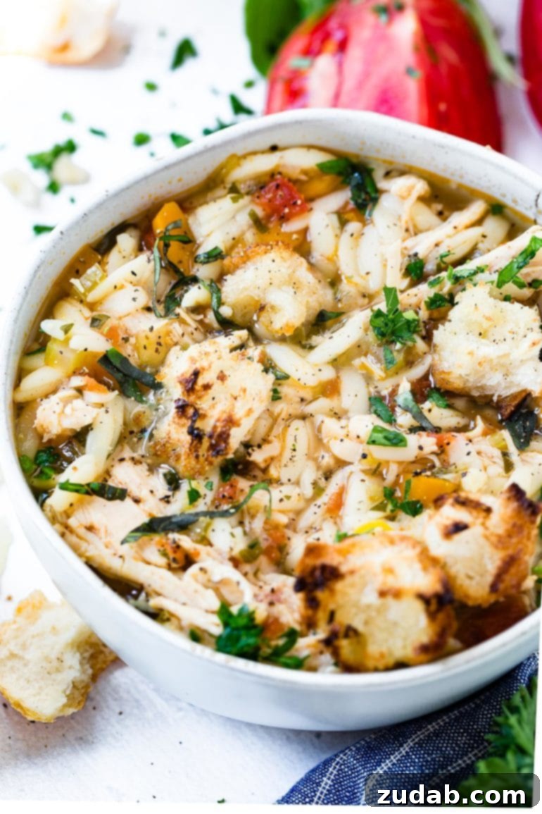 Your Weekly Meal Plan: Feb 26 - Mar 3 8 A comforting bowl of Instant Pot Italian Chicken Soup, featuring tender chicken, pasta, and vegetables in a rich, herby broth, perfect for a cozy meal.