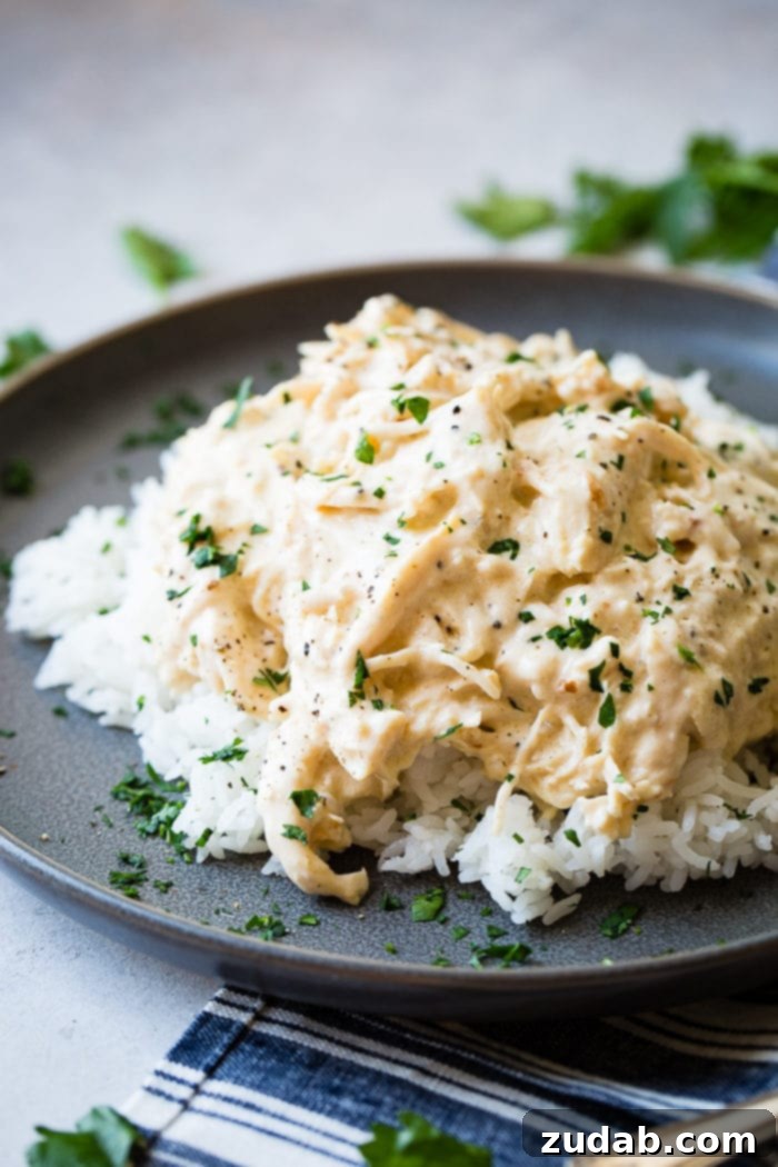 Weekly Menu Plan: Mar. 11-17 8 A dark grey plate with a pile of white Jasmine rice with creamy crockpot chicken shredded over the top and a little parsley in the background