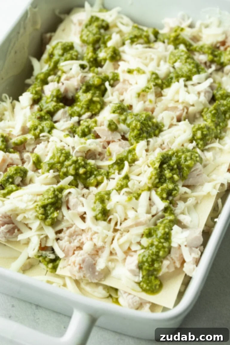 Effortless Creamy Pesto Chicken Lasagna 5 A baking dish being filled with layers of lasagna pasta, shredded chicken, vibrant pesto, melted mozzarella, and creamy béchamel sauce, ready for the oven.