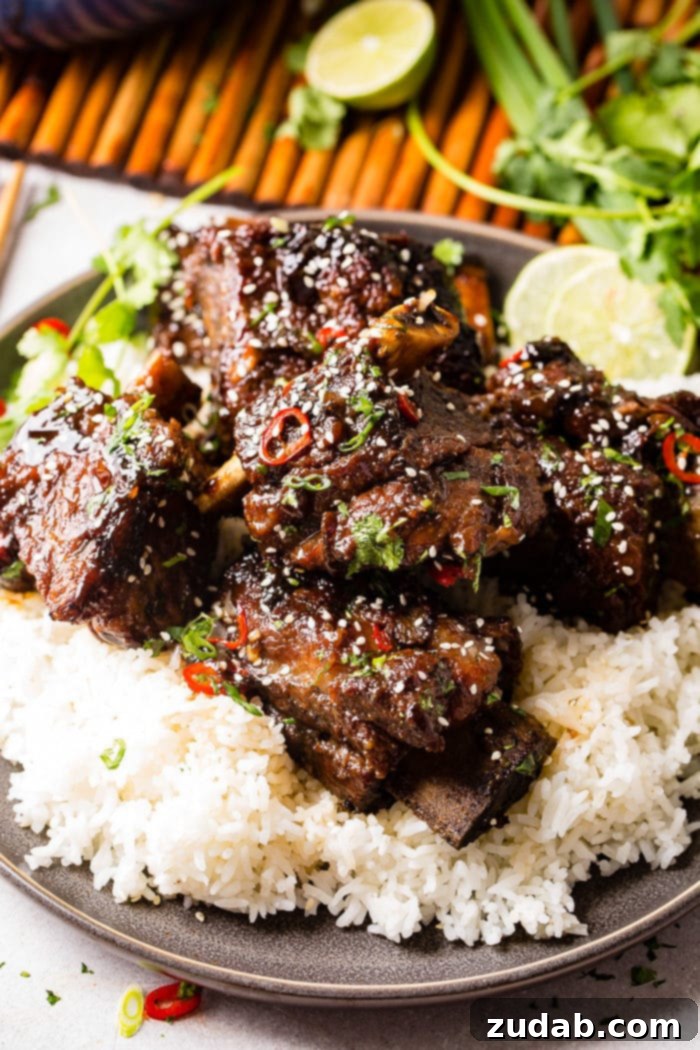 Weekly Menu Plan: April 1-7 9 A photo of braised short ribs garnished with sesame seeds, cilantro, green onion and red chile peppers on top of white rice on a gray plate.