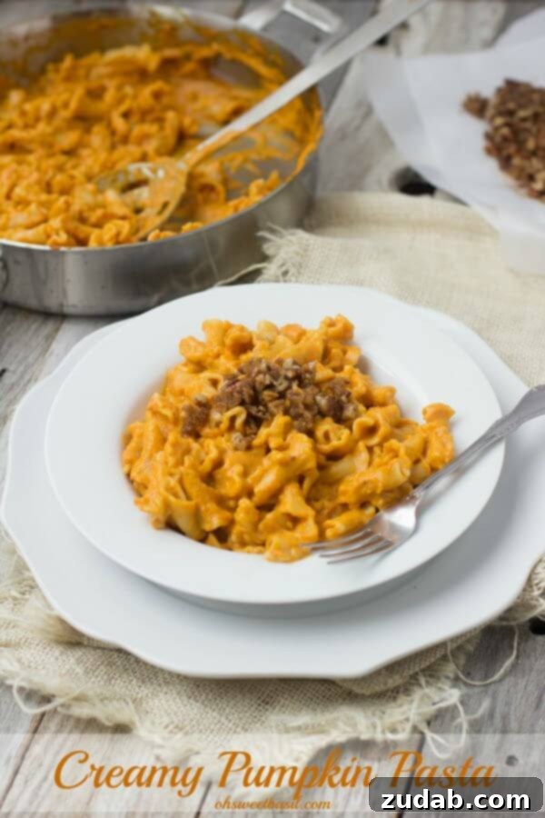 Delicious Creamy Pumpkin Pasta Topped with Fisher Pecans Creamy Pumpkin Pasta sauce with crunchy brown sugar pecans. You have to try to truly understand just how fantastic this pasta dish is! #fishernuts ohsweetbasil.com