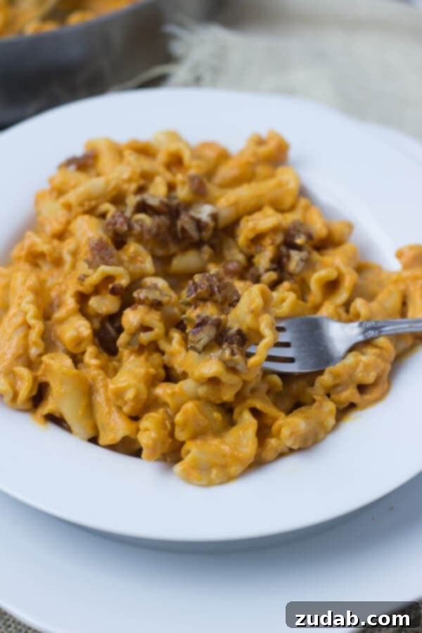 Crunchy Brown Sugar Pecan Topping for Pumpkin Pasta Creamy Pumpkin Pasta sauce with crunchy brown sugar pecans. You have to try to truly understand just how fantastic this pasta dish is! #fishernuts ohsweetbasil.com