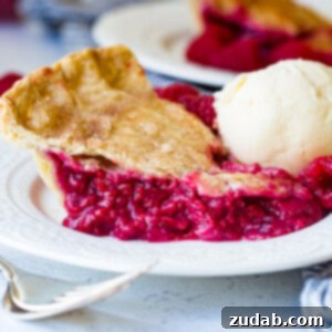 Timeless Raspberry Delight 2 Old Fashioned Raspberry Pie