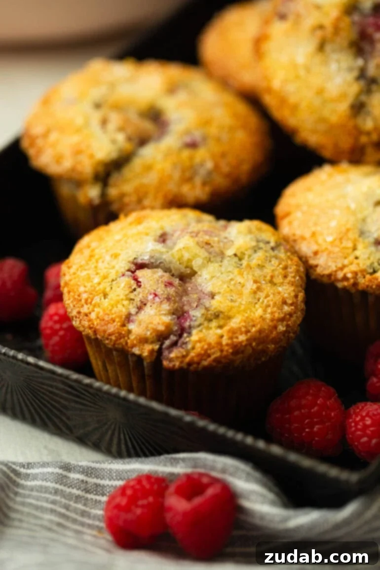 Raspberry Burst Cream of Wheat Muffins 2 A photo of several golden-baked Cream of Wheat Raspberry Muffins, some topped with turbinado sugar, arranged invitingly on a serving tray with fresh raspberries scattered around.