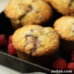 Raspberry Burst Cream of Wheat Muffins 11 A delicious Cream of Wheat Raspberry Muffin