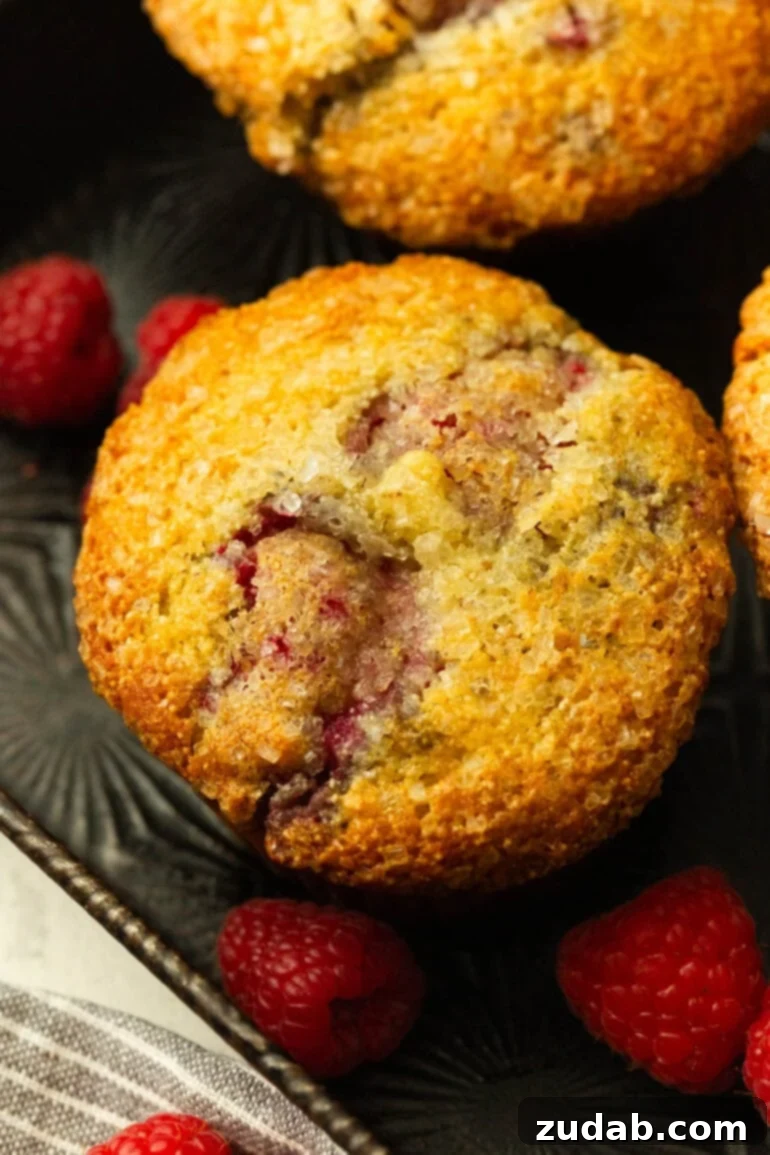 Raspberry Burst Cream of Wheat Muffins 3 A close-up photo of a single golden-baked Cream of Wheat Raspberry Muffin, generously topped with sparkling turbinado sugar, showcasing its inviting texture.