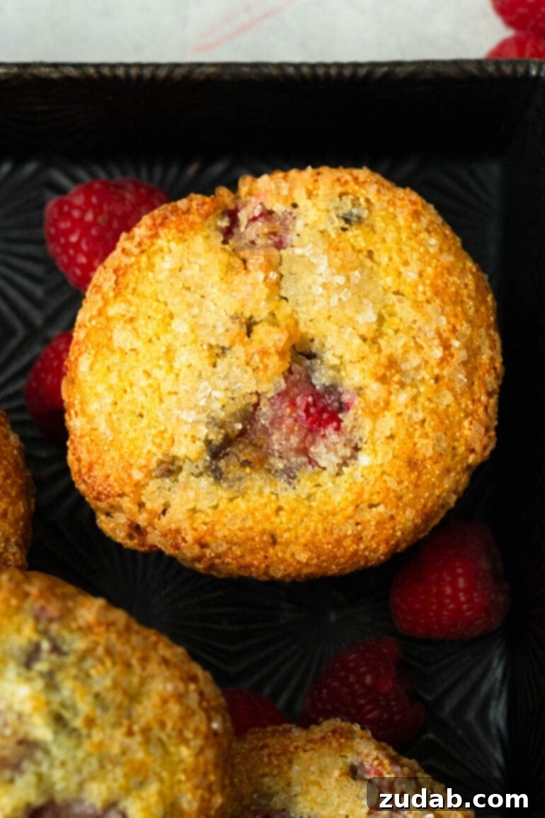 Raspberry Burst Cream of Wheat Muffins 5 An overhead shot of a single perfectly golden-baked Cream of Wheat Raspberry Muffin, gleaming with turbinado sugar on top, highlighting its irresistible appeal.