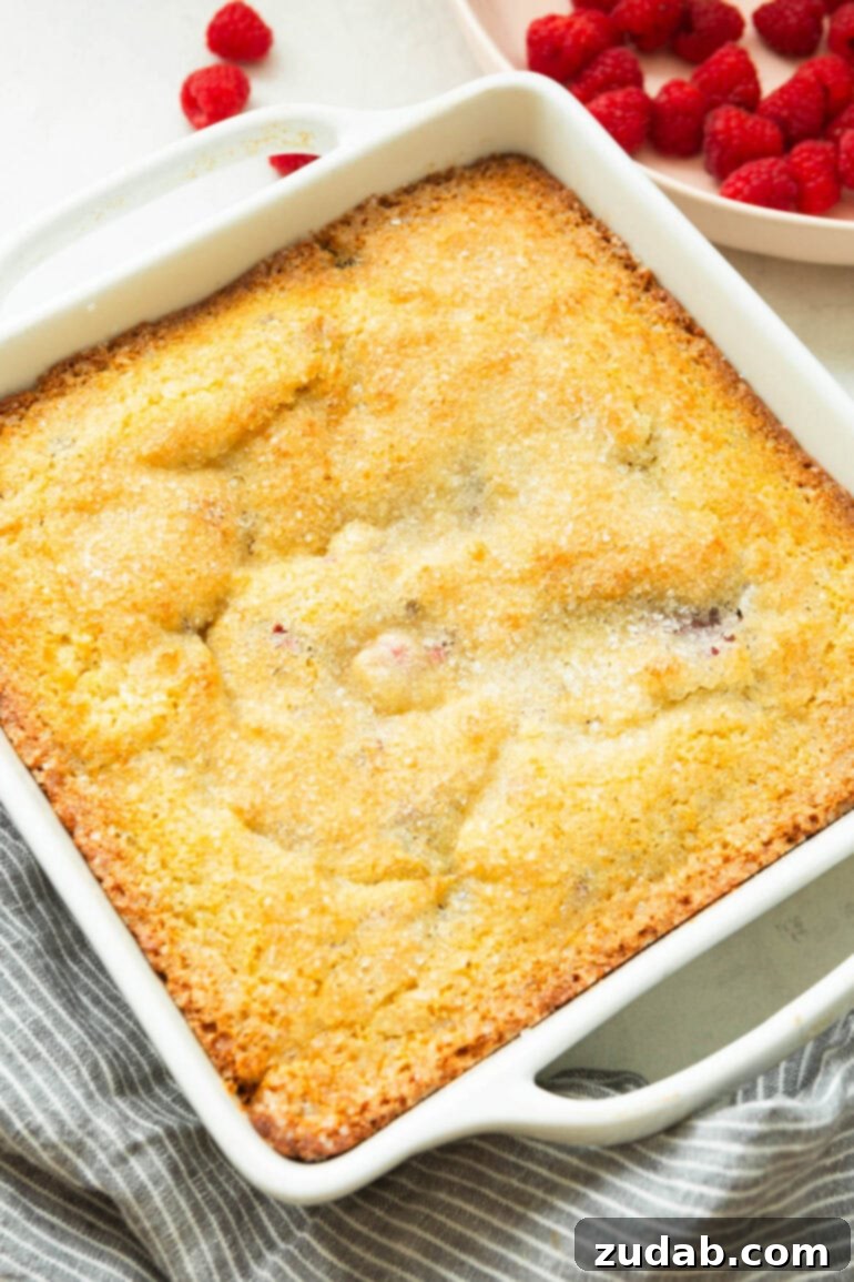 Raspberry Burst Cream of Wheat Muffins 6 A close-up photo of a square baking dish filled with a baked raspberry Cream of Wheat breakfast cake, showcasing its rich texture and fruit distribution.
